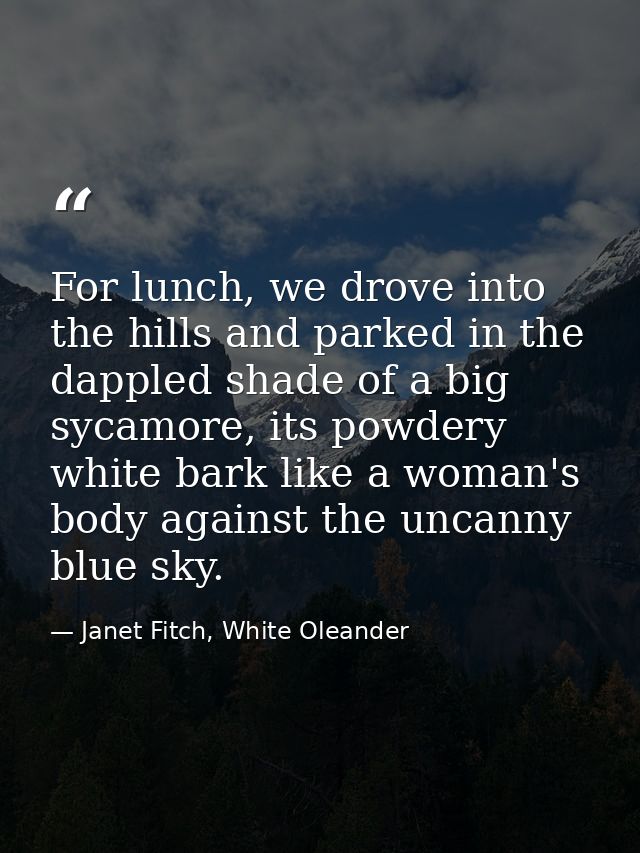 For lunch, we drove into the hills and parked in the dappled shade of a big sycamore, its powdery white bark like a woma — Janet Fitch, White Oleander