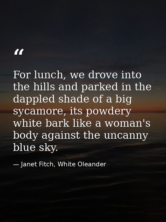 For lunch, we drove into the hills and parked in the dappled shade of a big sycamore, its powdery white bark like a woma — Janet Fitch, White Oleander