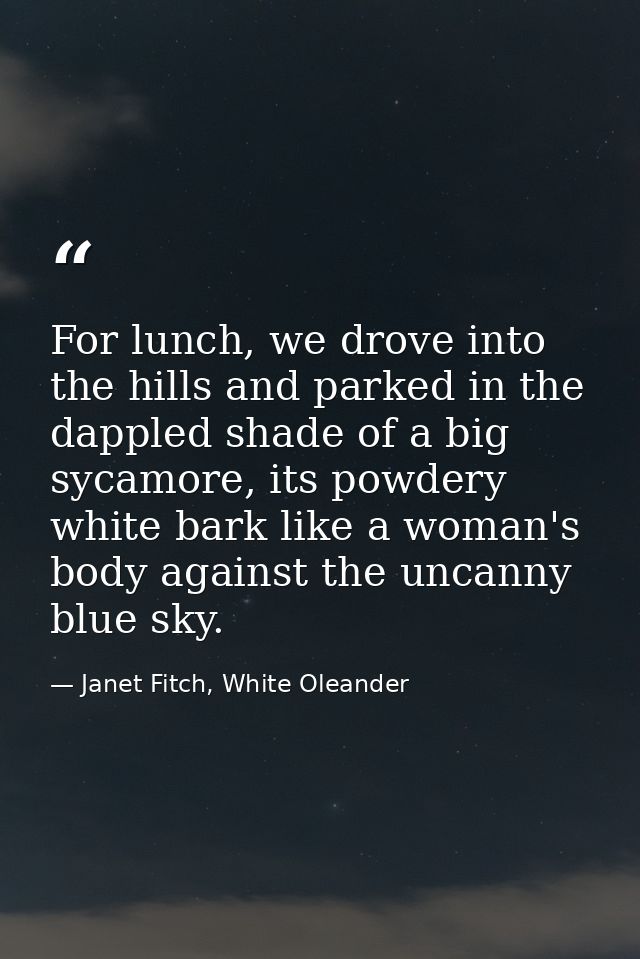 For lunch, we drove into the hills and parked in the dappled shade of a big sycamore, its powdery white bark like a woma — Janet Fitch, White Oleander