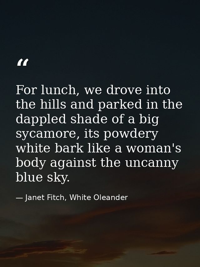 For lunch, we drove into the hills and parked in the dappled shade of a big sycamore, its powdery white bark like a woma — Janet Fitch, White Oleander
