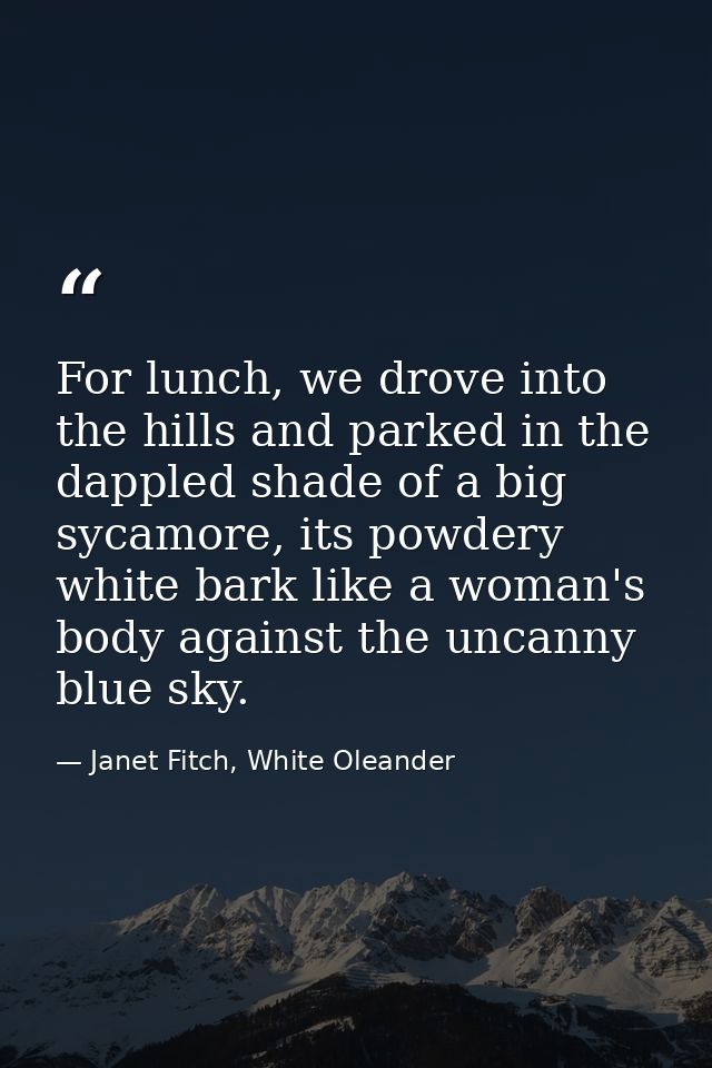 For lunch, we drove into the hills and parked in the dappled shade of a big sycamore, its powdery white bark like a woma — Janet Fitch, White Oleander