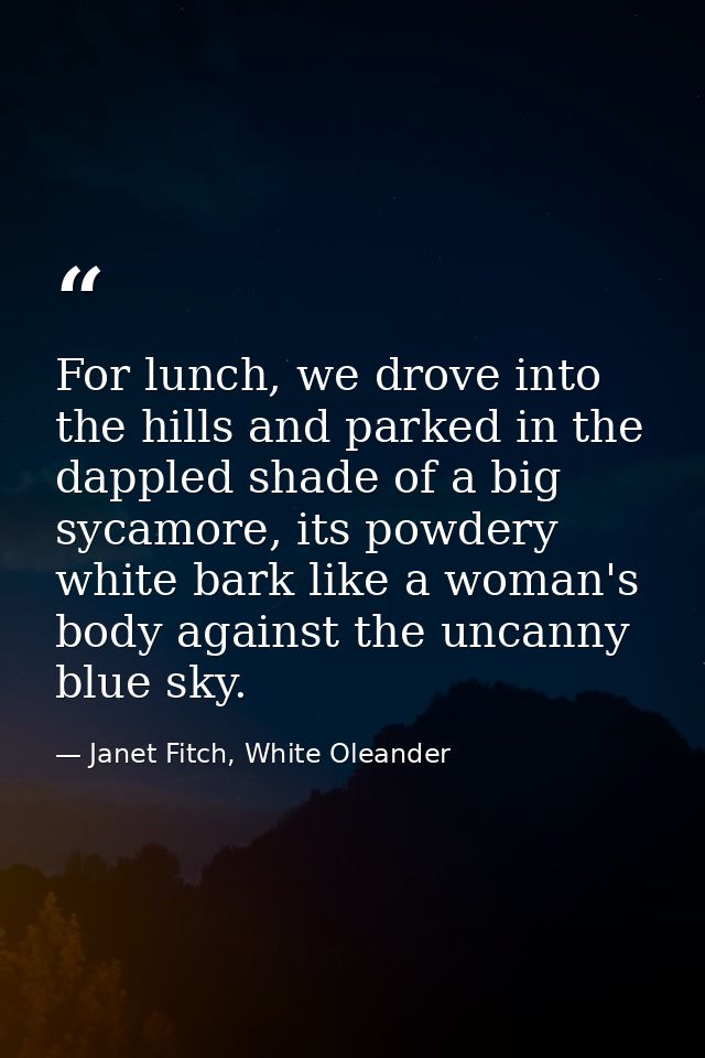 For lunch, we drove into the hills and parked in the dappled shade of a big sycamore, its powdery white bark like a woma — Janet Fitch, White Oleander
