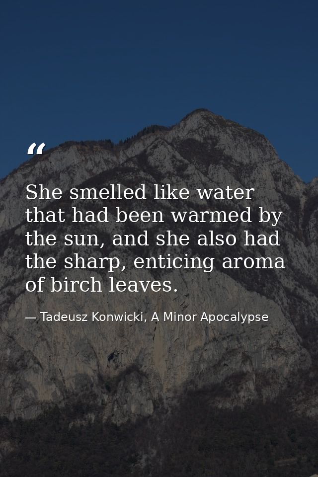 She smelled like water that had been warmed by the sun, and she also had the sharp, enticing aroma of birch leaves. — Tadeusz Konwicki, A Minor Apocalypse