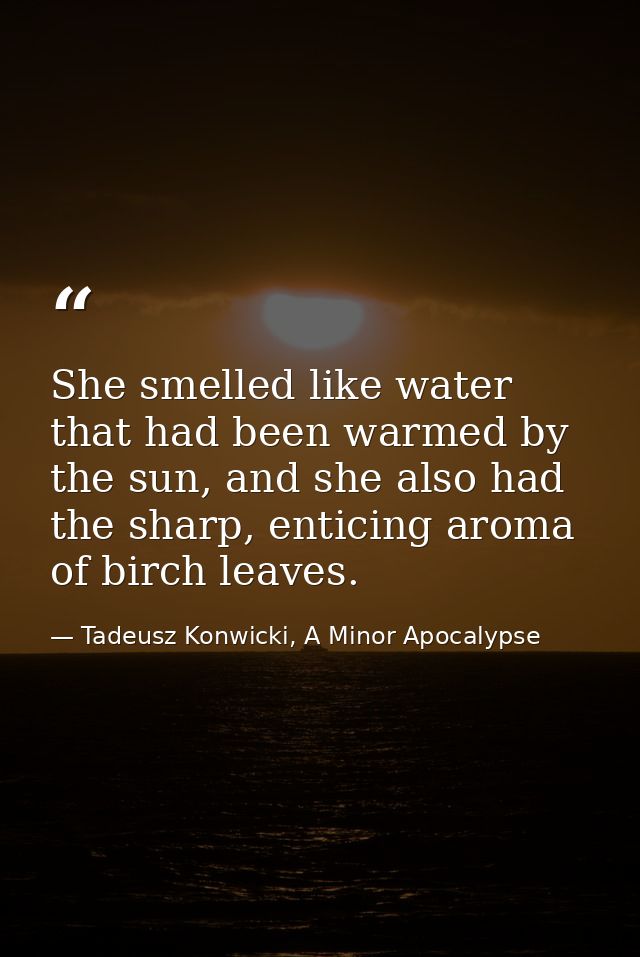 She smelled like water that had been warmed by the sun, and she also had the sharp, enticing aroma of birch leaves. — Tadeusz Konwicki, A Minor Apocalypse