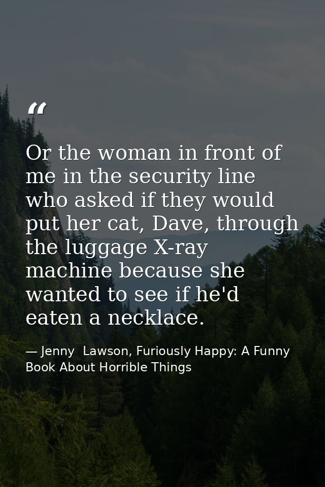 Or the woman in front of me in the security line who asked if they would put her cat, Dave, through the luggage X-ray ma — Jenny  Lawson, Furiously Happy: A Funny Book About Horrible Things