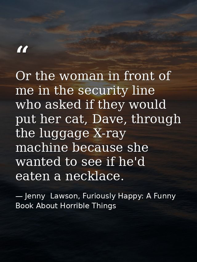 Or the woman in front of me in the security line who asked if they would put her cat, Dave, through the luggage X-ray ma — Jenny  Lawson, Furiously Happy: A Funny Book About Horrible Things