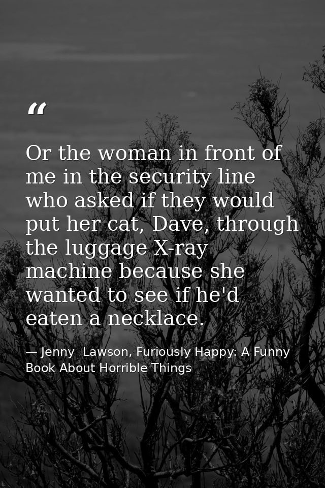 Or the woman in front of me in the security line who asked if they would put her cat, Dave, through the luggage X-ray ma — Jenny  Lawson, Furiously Happy: A Funny Book About Horrible Things
