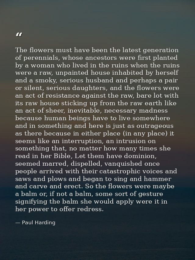 The flowers must have been the latest generation of perennials, whose ancestors were first planted by a woman who lived  — Paul Harding