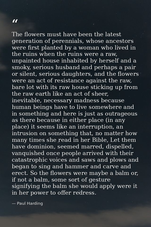 The flowers must have been the latest generation of perennials, whose ancestors were first planted by a woman who lived  — Paul Harding