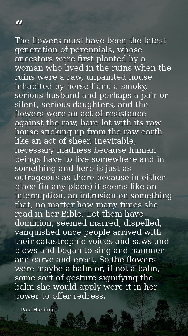 The flowers must have been the latest generation of perennials, whose ancestors were first planted by a woman who lived  — Paul Harding