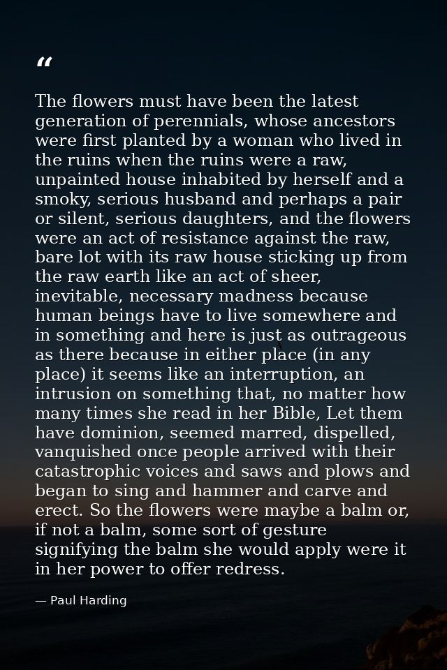 The flowers must have been the latest generation of perennials, whose ancestors were first planted by a woman who lived  — Paul Harding