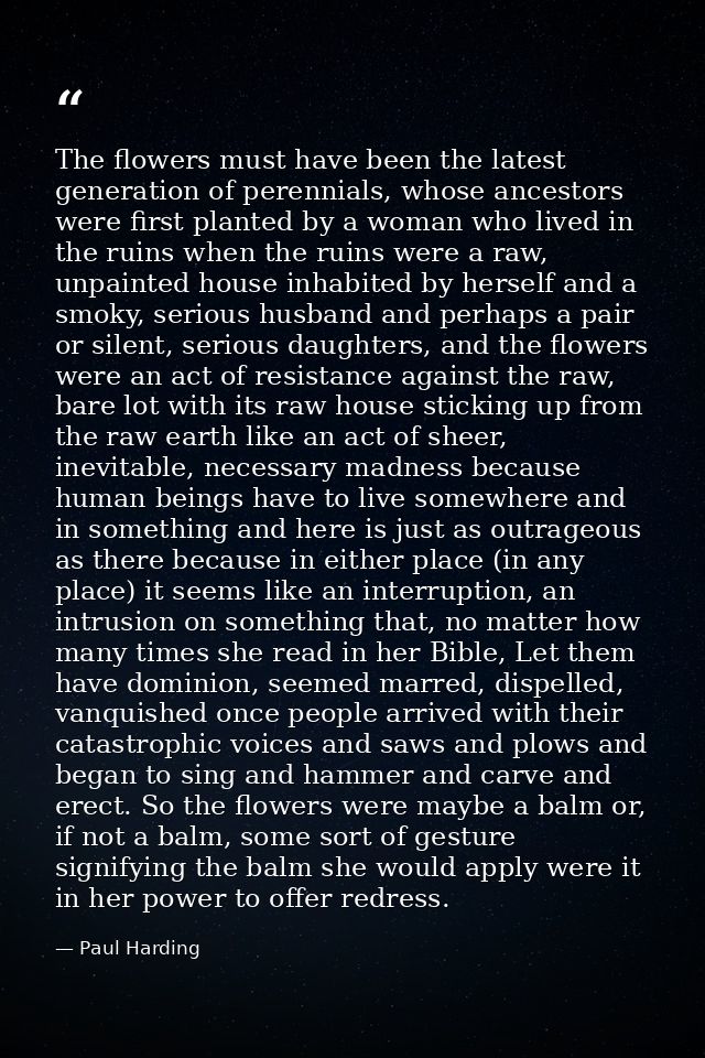 The flowers must have been the latest generation of perennials, whose ancestors were first planted by a woman who lived  — Paul Harding