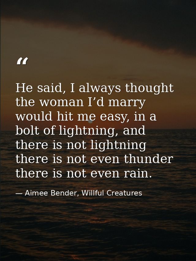 He said, I always thought the woman I’d marry would hit me easy, in a bolt of lightning, and there is not lightning ther — Aimee Bender, Willful Creatures