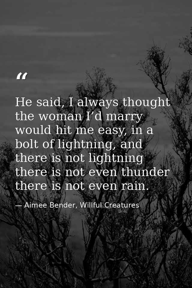 He said, I always thought the woman I’d marry would hit me easy, in a bolt of lightning, and there is not lightning ther — Aimee Bender, Willful Creatures
