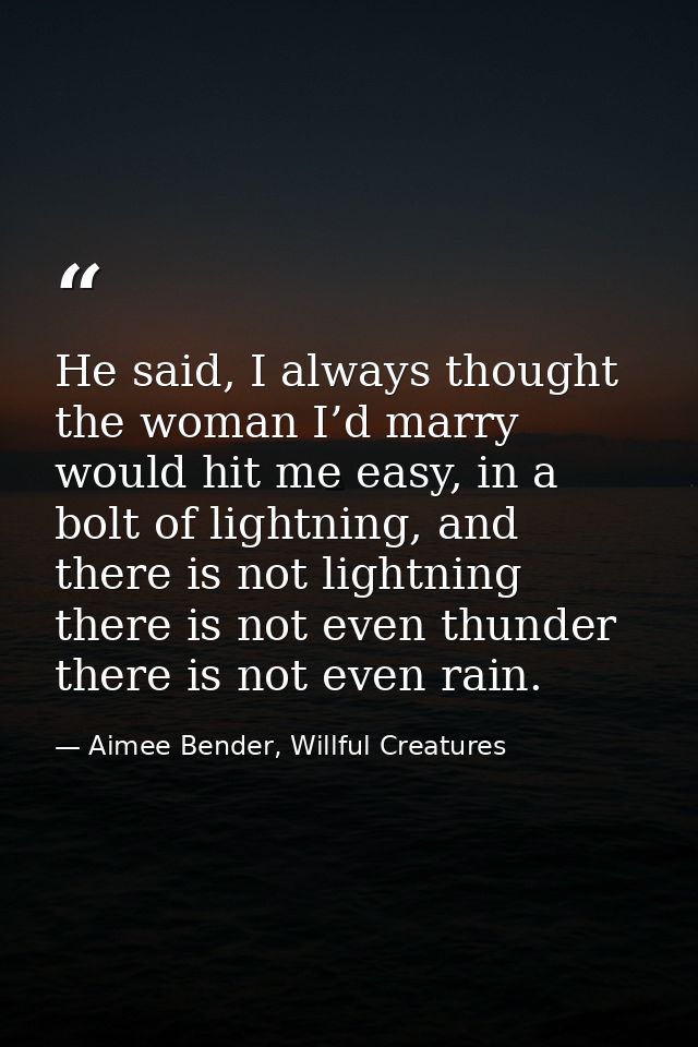 He said, I always thought the woman I’d marry would hit me easy, in a bolt of lightning, and there is not lightning ther — Aimee Bender, Willful Creatures