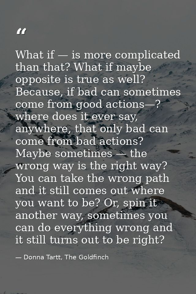 What if — is more complicated than that? What if maybe opposite is true as well? Because, if bad can sometimes come from — Donna Tartt, The Goldfinch