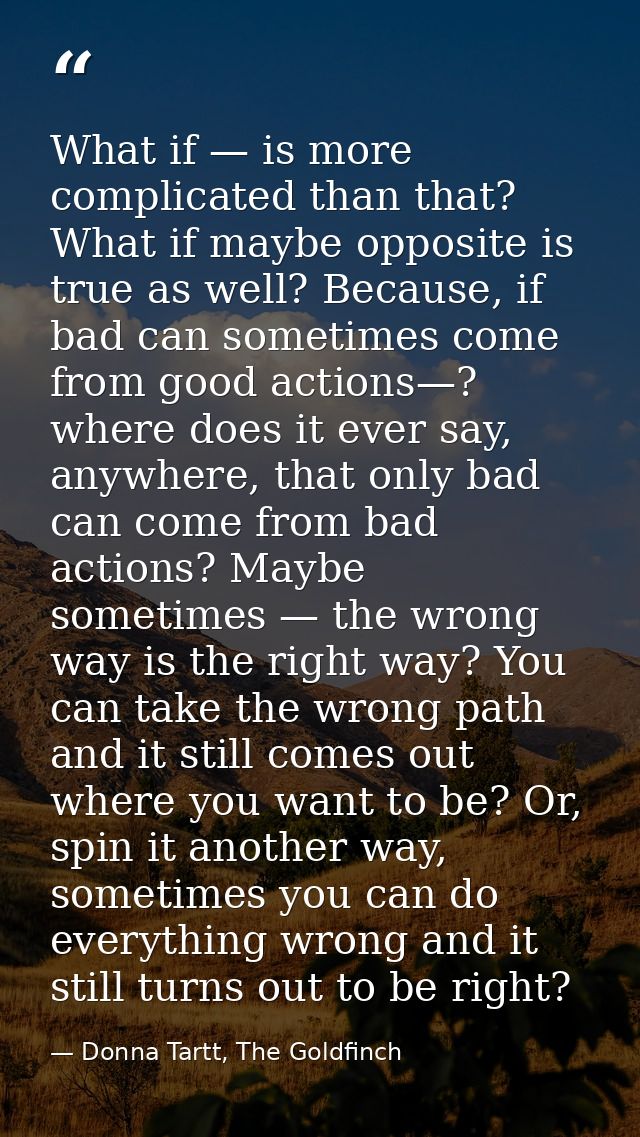What if — is more complicated than that? What if maybe opposite is true as well? Because, if bad can sometimes come from — Donna Tartt, The Goldfinch