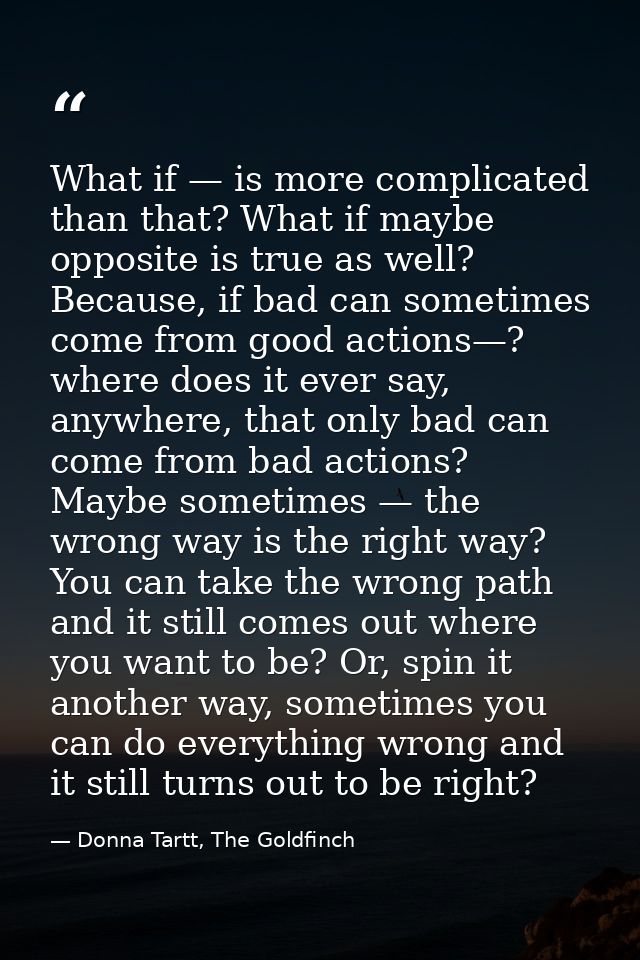 What if — is more complicated than that? What if maybe opposite is true as well? Because, if bad can sometimes come from — Donna Tartt, The Goldfinch
