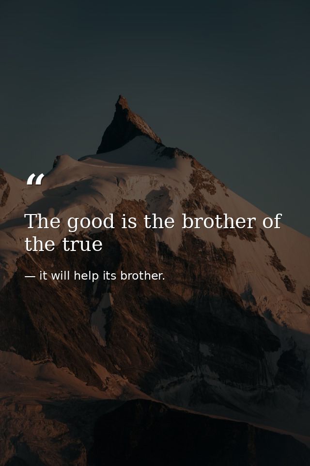 The good is the brother of the true — it will help its brother.
