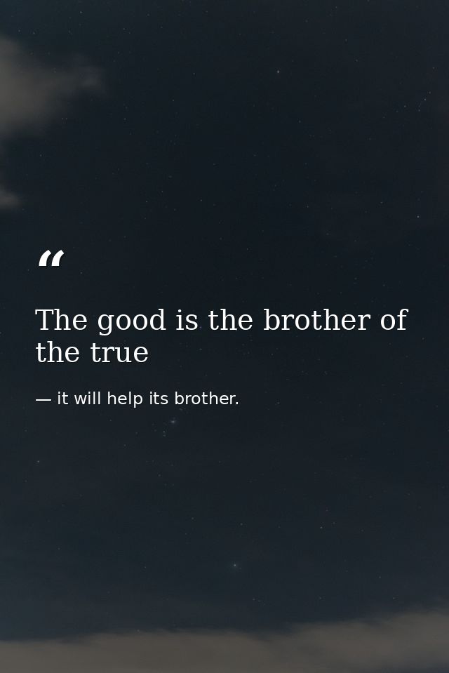 The good is the brother of the true — it will help its brother.