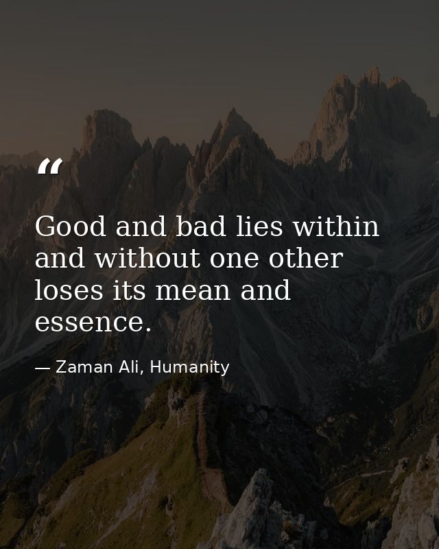 Good and bad lies within and without one other loses its mean and essence. — Zaman Ali, Humanity