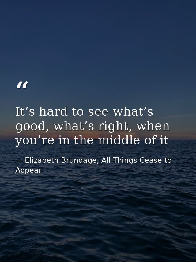 It’s hard to see what’s good, what’s right, when you’re in the middle of it — Elizabeth Brundage, All Things Cease to Appear