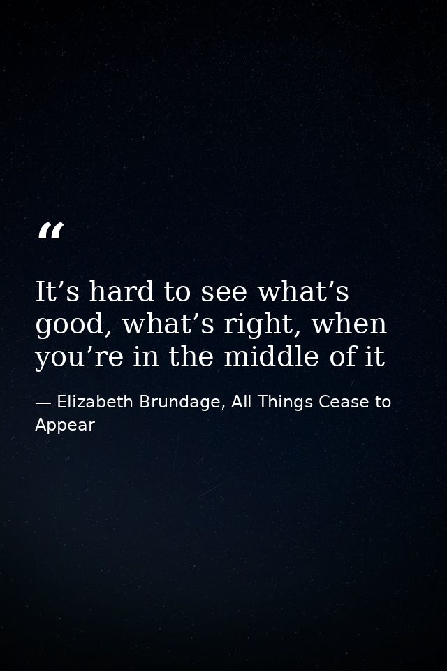 It’s hard to see what’s good, what’s right, when you’re in the middle of it — Elizabeth Brundage, All Things Cease to Appear