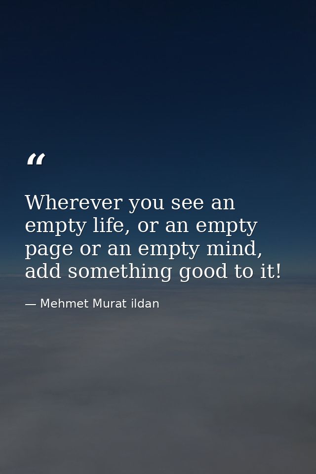 Wherever you see an empty life, or an empty page or an empty mind, add something good to it! — Mehmet Murat ildan