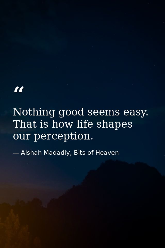 Nothing good seems easy. That is how life shapes our perception. — Aishah Madadiy, Bits of Heaven