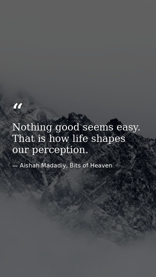 Nothing good seems easy. That is how life shapes our perception. — Aishah Madadiy, Bits of Heaven