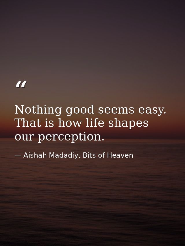 Nothing good seems easy. That is how life shapes our perception. — Aishah Madadiy, Bits of Heaven