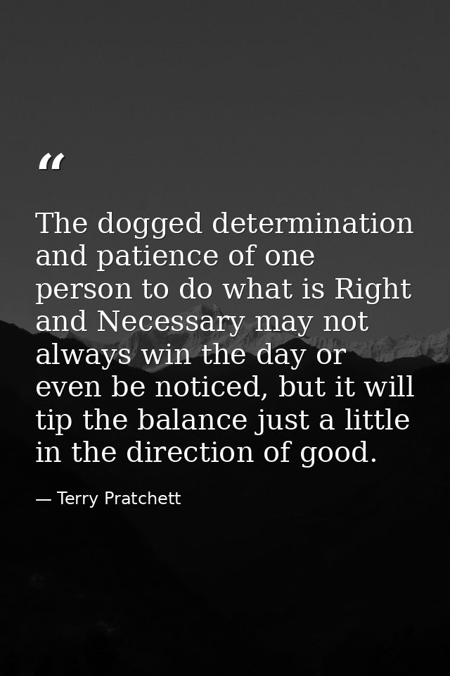 The dogged determination and patience of one person to do what is Right and Necessary may not always win the day or even — Terry Pratchett