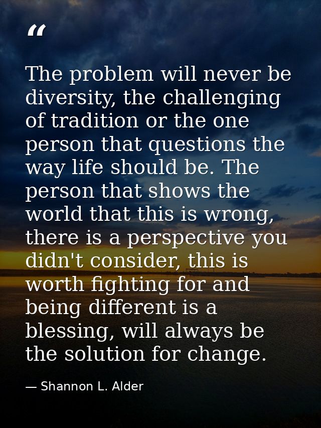 The problem will never be diversity, the challenging of tradition or the one person that questions the way life should b — Shannon L. Alder