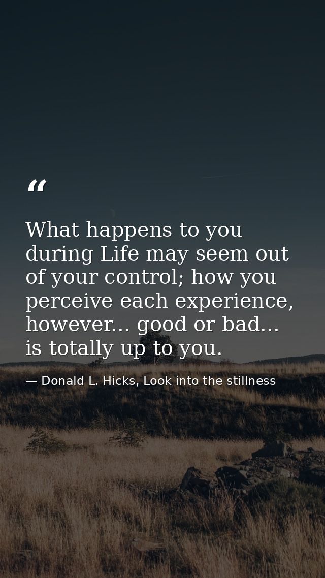 What happens to you during Life may seem out of your control; how you perceive each experience, however... good or bad.. — Donald L. Hicks, Look into the stillness