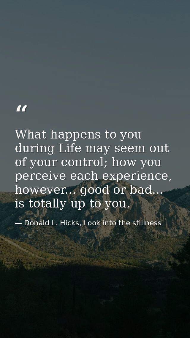What happens to you during Life may seem out of your control; how you perceive each experience, however... good or bad.. — Donald L. Hicks, Look into the stillness