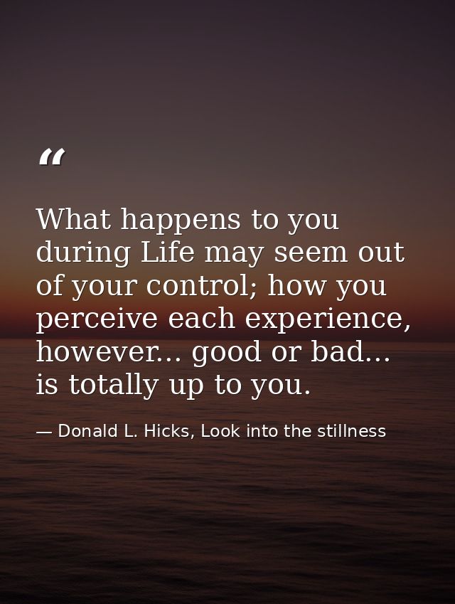 What happens to you during Life may seem out of your control; how you perceive each experience, however... good or bad.. — Donald L. Hicks, Look into the stillness