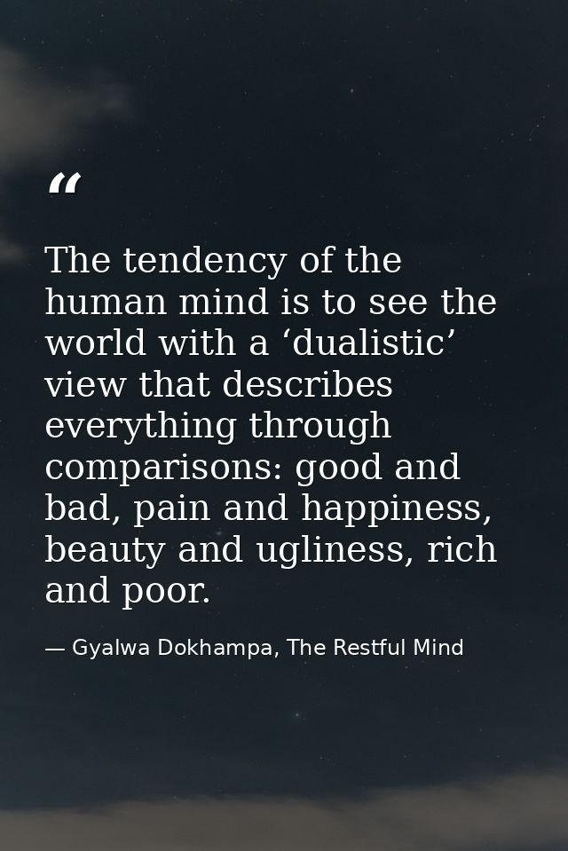 The tendency of the human mind is to see the world with a ‘dualistic’ view that describes everything through comparisons — Gyalwa Dokhampa, The Restful Mind