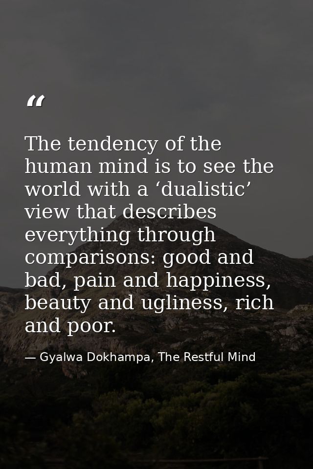 The tendency of the human mind is to see the world with a ‘dualistic’ view that describes everything through comparisons — Gyalwa Dokhampa, The Restful Mind