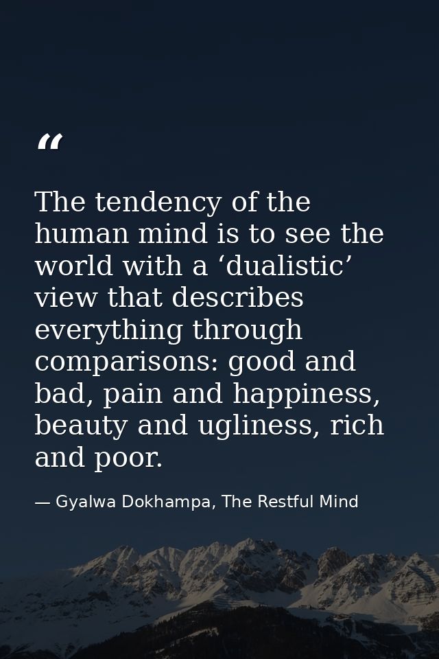 The tendency of the human mind is to see the world with a ‘dualistic’ view that describes everything through comparisons — Gyalwa Dokhampa, The Restful Mind