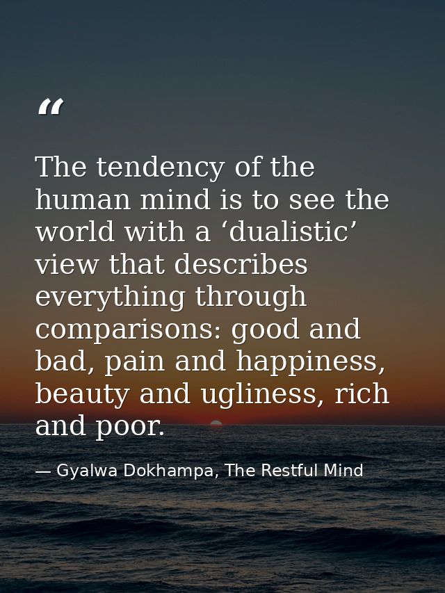The tendency of the human mind is to see the world with a ‘dualistic’ view that describes everything through comparisons — Gyalwa Dokhampa, The Restful Mind
