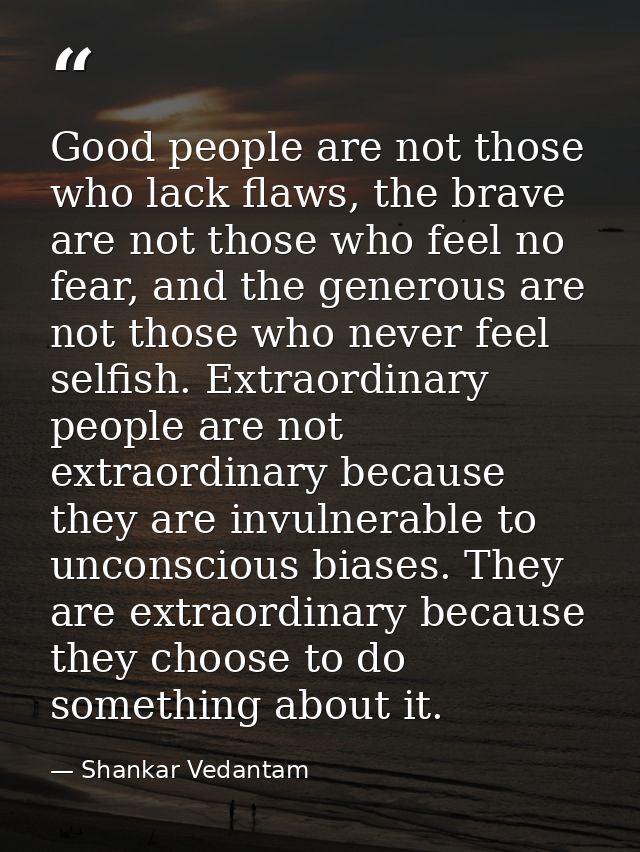 Good people are not those who lack flaws, the brave are not those who feel no fear, and the generous are not those who n — Shankar Vedantam