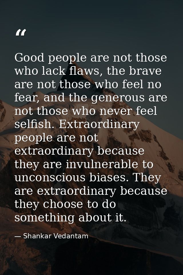 Good people are not those who lack flaws, the brave are not those who feel no fear, and the generous are not those who n — Shankar Vedantam