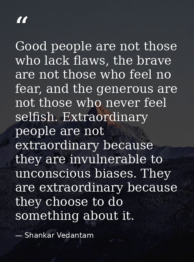 Good people are not those who lack flaws, the brave are not those who feel no fear, and the generous are not those who n — Shankar Vedantam