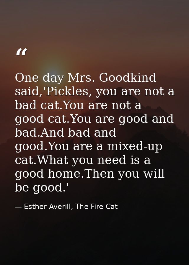 One day Mrs. Goodkind said,'Pickles, you are not a bad cat.You are not a good cat.You are good and bad.And bad and good. — Esther Averill, The Fire Cat