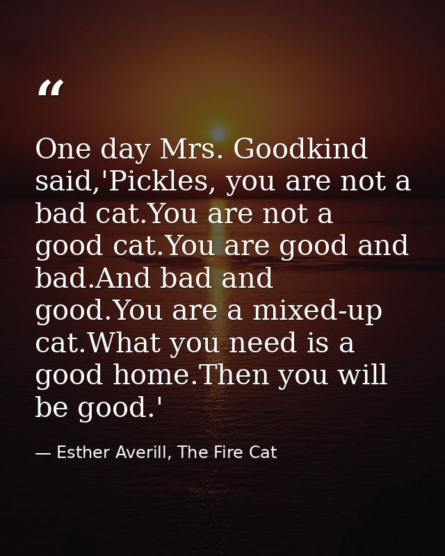 One day Mrs. Goodkind said,'Pickles, you are not a bad cat.You are not a good cat.You are good and bad.And bad and good. — Esther Averill, The Fire Cat