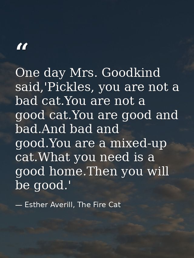 One day Mrs. Goodkind said,'Pickles, you are not a bad cat.You are not a good cat.You are good and bad.And bad and good. — Esther Averill, The Fire Cat