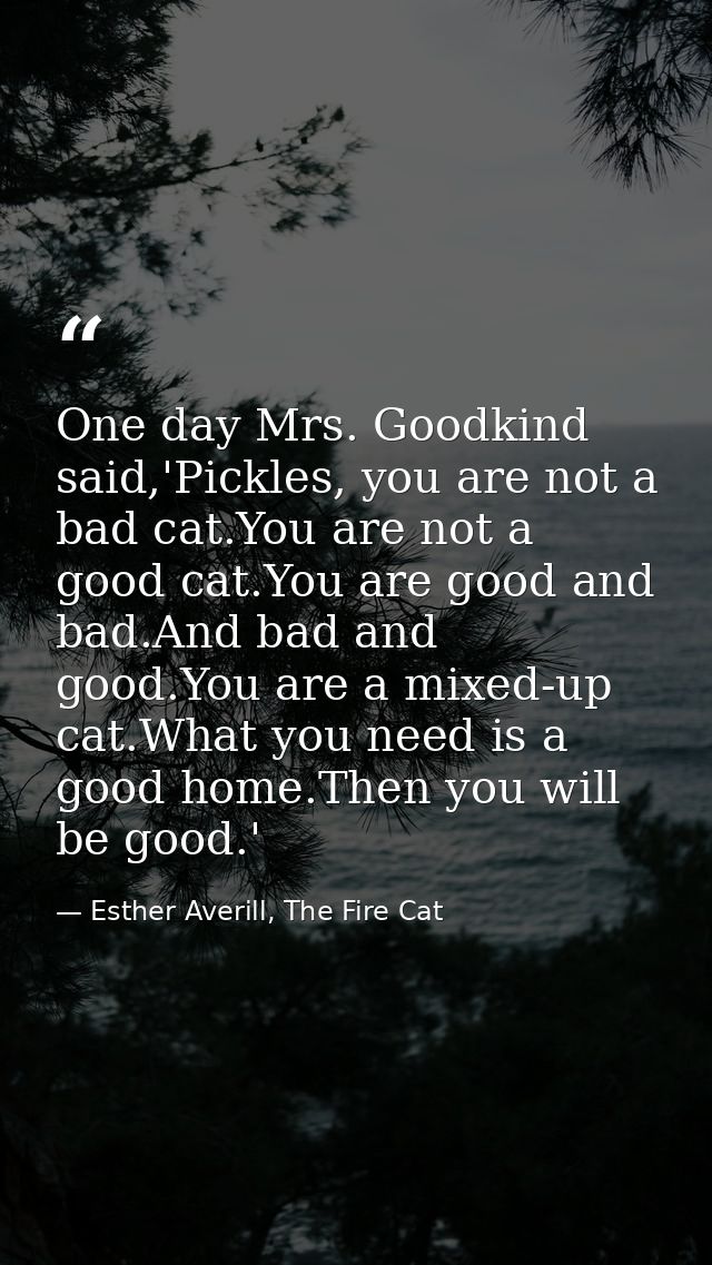 One day Mrs. Goodkind said,'Pickles, you are not a bad cat.You are not a good cat.You are good and bad.And bad and good. — Esther Averill, The Fire Cat