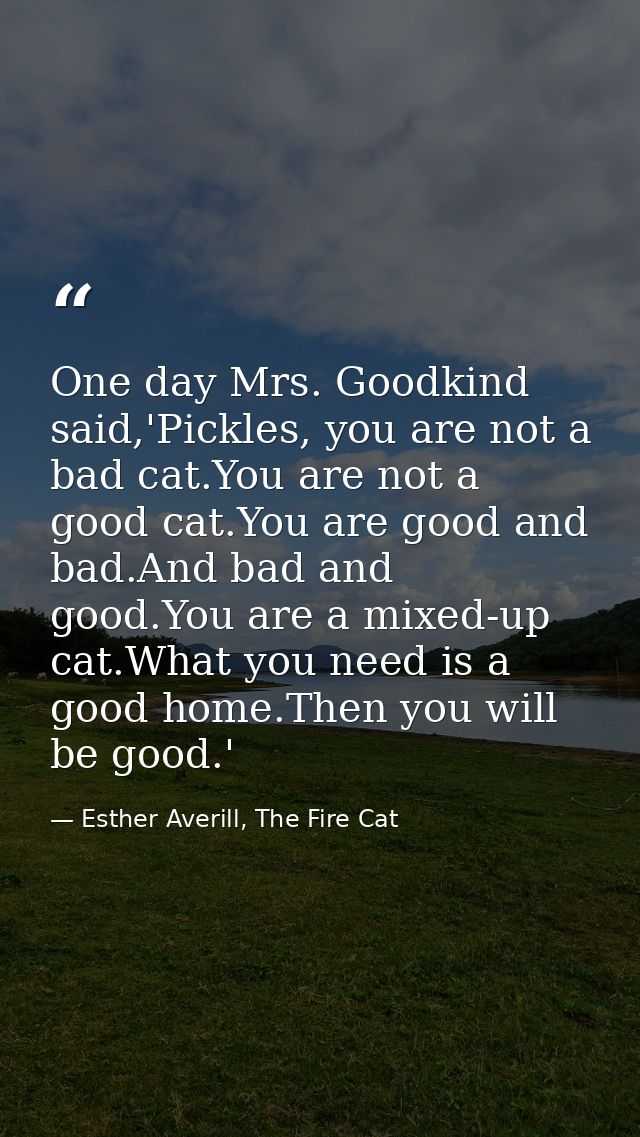 One day Mrs. Goodkind said,'Pickles, you are not a bad cat.You are not a good cat.You are good and bad.And bad and good. — Esther Averill, The Fire Cat
