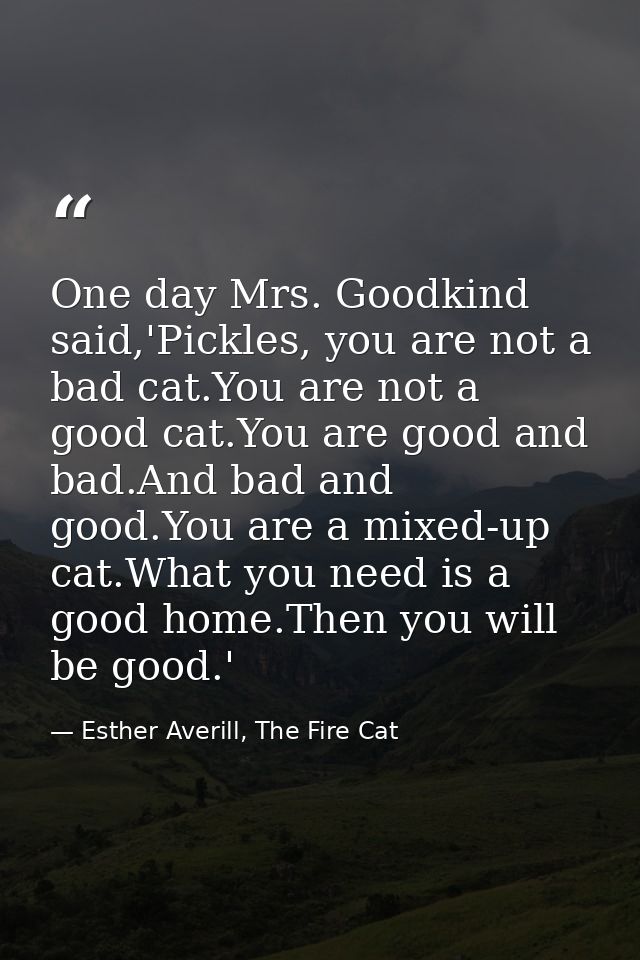 One day Mrs. Goodkind said,'Pickles, you are not a bad cat.You are not a good cat.You are good and bad.And bad and good. — Esther Averill, The Fire Cat
