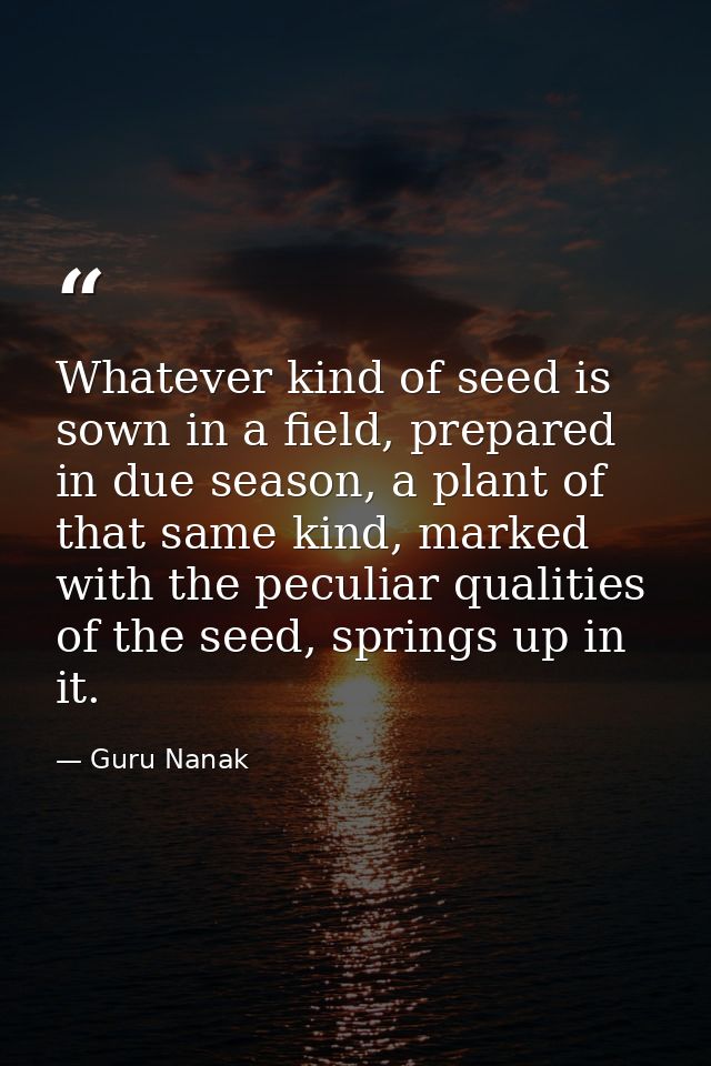 Whatever kind of seed is sown in a field, prepared in due season, a plant of that same kind, marked with the peculiar qu — Guru Nanak
